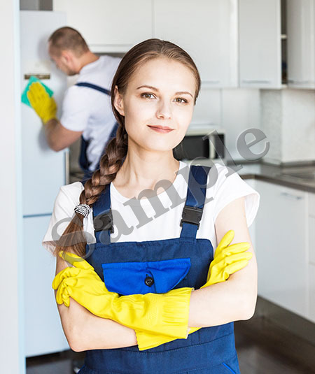 Laptop repair expert