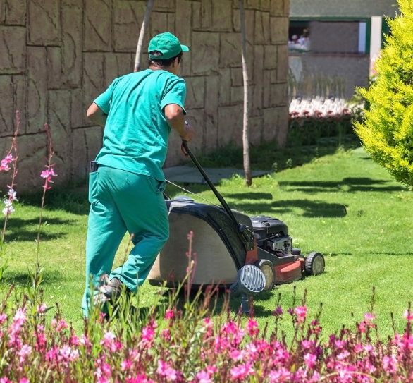 Lawn Mower at work