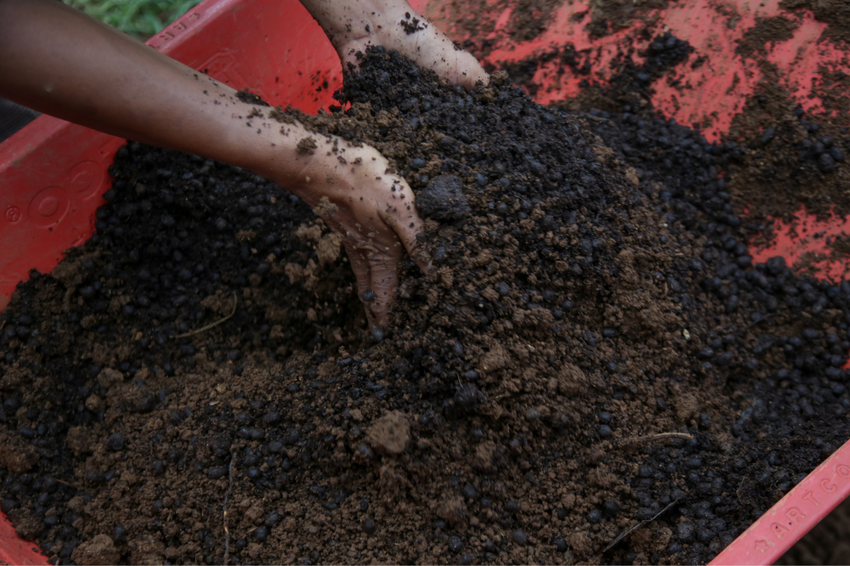 Preparation of soil mixture from fertile compost, humus and vermiculite in the garden. Springtime gardening work.