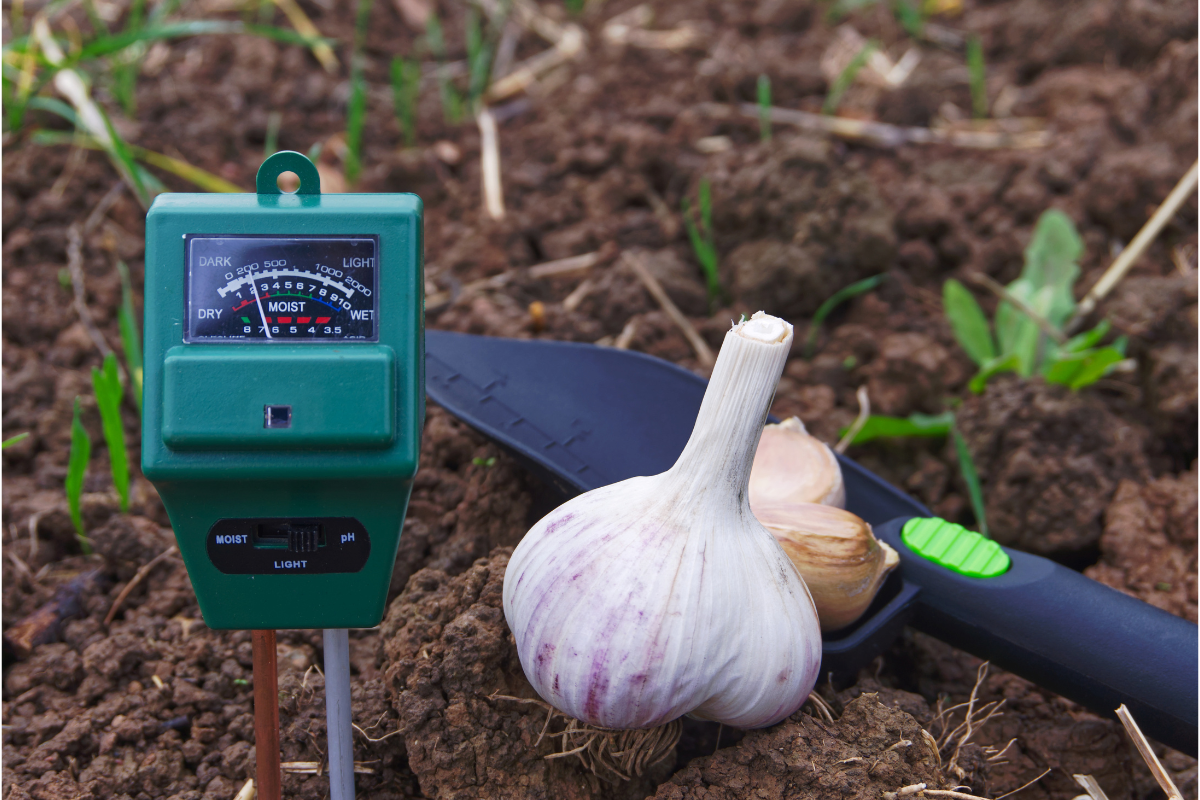 pH Levels in Soil