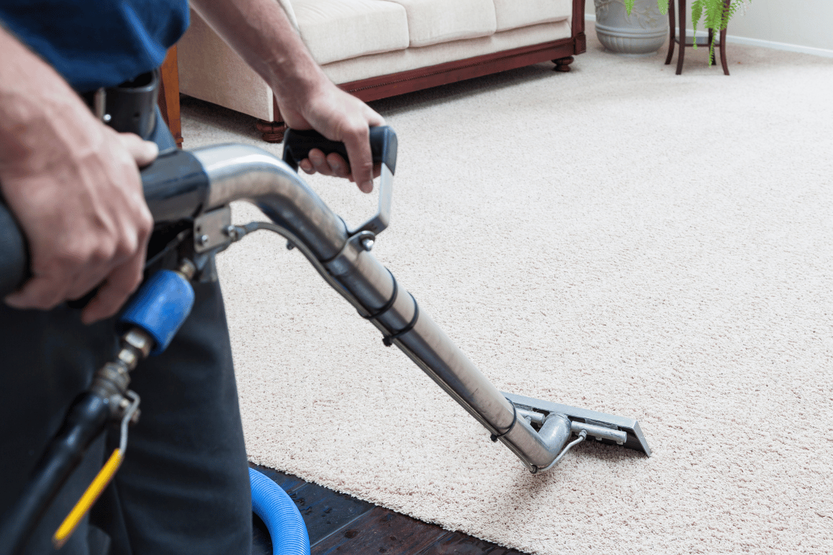 Best Rated Carpet Cleaners in Melbourne