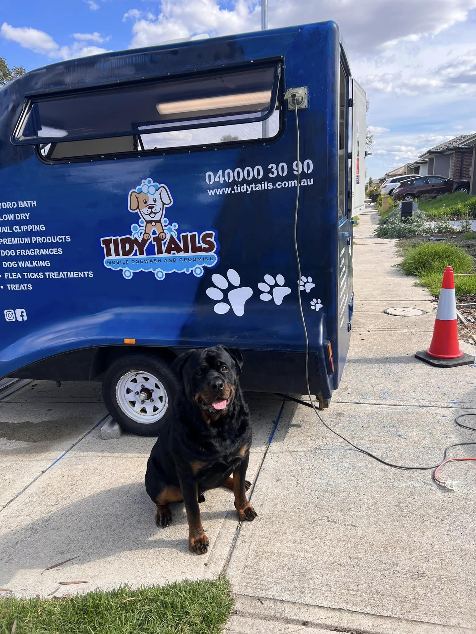 Top 10 Best Rated Mobile Dog Groomers in Melbourne