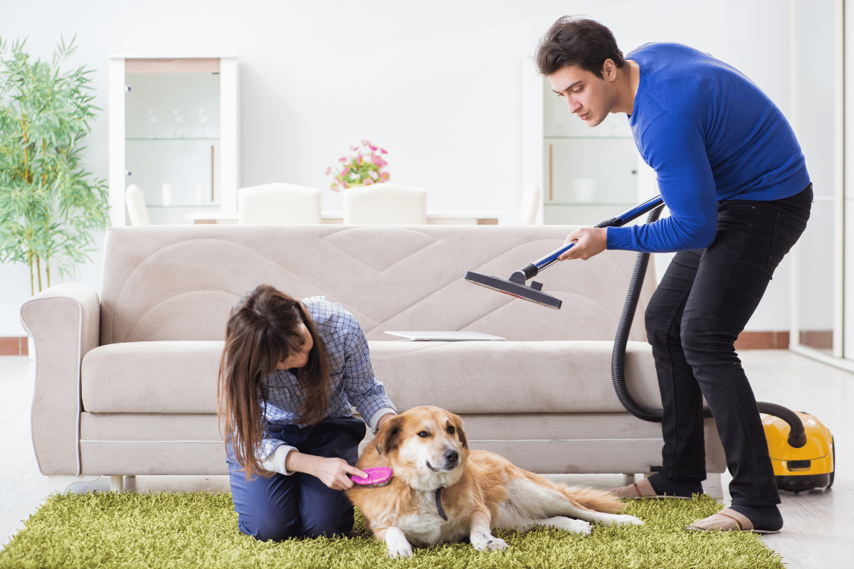 Husband cleaning house from dog fur