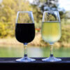 Glasses of red and white Adelaide wine
