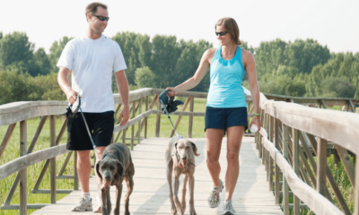 a couple walking with their dogs