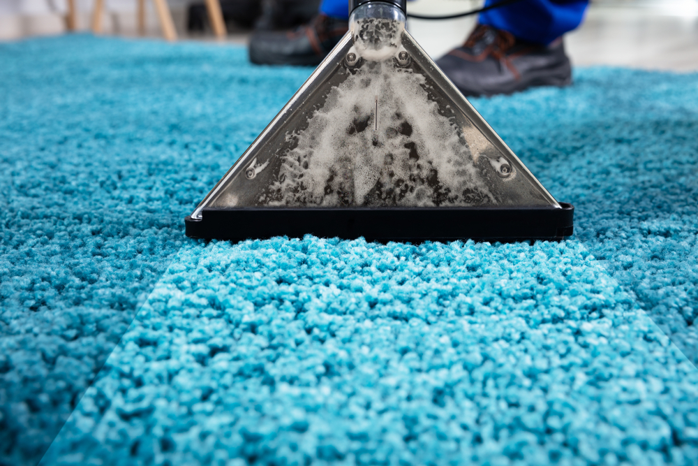 Professional steam carpet cleaning removing deep dirt from a blue carpet