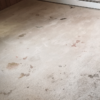 Heavily stained carpet showing visible wear and discolouration before professional cleaning