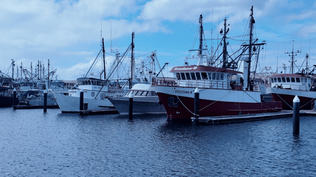 Port Lincoln fishing boats and local seafood industry